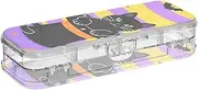 Halloween Black Cat and Pumpkins Clear Pencils Box Double Deck Pencil Container For Art Supplies With Snap And Lid