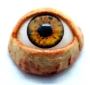 Halloween Prop Realistic Life Size Eye DOT third eye, masks, JEWELRY Infected LB