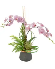 Creative Displays Lavender Orchid, Fern & Yucca Succulent Floral Arrangement