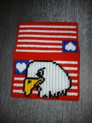 Plastic Canvas Eagle & Flag Checkbook Cover