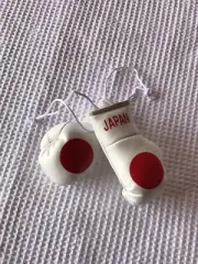 Japan Mini Boxing Gloves