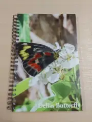 Spiral Notebook Journal Australian Delias Butterfly (A5)
