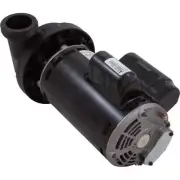 BWG PUMP 2SPD 2.5HP 230V 60HZ Balboa Water Group (6500-343)