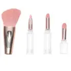 Multifunctional Blush Brush Miss Eye Makeup Brushes Eyeshadow Set Beauty