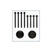 Austral Cylinder Head Bolt Set - 81047600