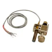 Pentair 073992 Pilot Assembly Replacement MiniMax CH Natural Gas MiniVolt...
