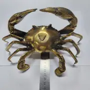V MUD CRAB solid hollow brass POLISH heavy decoration stunning 21 cm hand made B