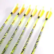 32 Inch Archery Carbon Arrows for Compound Recurve Bow Traditional Longbow