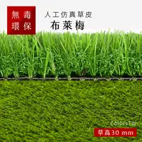 在飛比找蝦皮購物優惠-人工仿真草皮 【布萊梅】 尺寸1X1m 人工草皮 人造草皮 