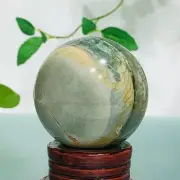 260g Natural Ocean Jasper Quartz Sphere Crystal Ball Healing Energy Decoration