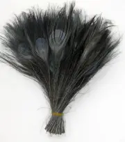 15 Pcs BLEACHED PEACOCK TAILS - SILVER GREY Feathers 10-12" Crafts/Halloween/Art