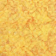 Island Batik - Peacock Galore - Circle Net - Cantaloupe, Fabric BTY