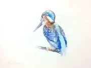 Kingfisher,Birds, Watercolor artwork, Handmade, Original painting on paper