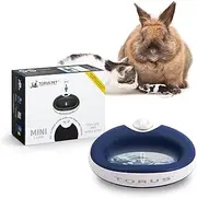 Torus 1-Liter Water Bowl, Blue