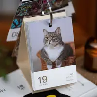 在飛比找蝦皮購物優惠-猫咪日曆 2024年 可愛治癒動物 手撕倒數倒數計時檯曆 創
