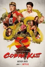 Cobra Kai poster print (a) : 11 x 17 inches