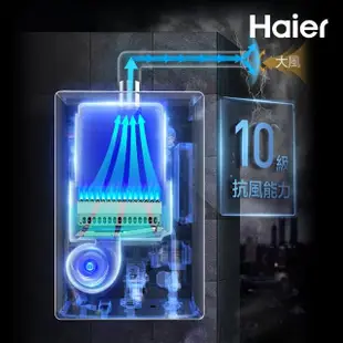 【Haier 海爾】20L五段火排強制排氣熱水器SA2基本安裝20 Salto Angel(NG1/FE式)