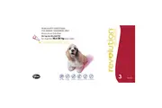Revolution Dog Medium Red