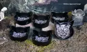 CRATE & BARREL KOOKY KITTY BOWLS (6) -NIB- THESE ARE REALLY THE CAT’S PAJAMAS!