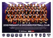 AFL FREMANTLE DOCKERS TEAM POSTER, Football, demons, cats dogs lions eagles crow