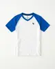 美國百分百【Abercrombie & Fitch】T恤 AF 短袖 V領 麋鹿 kids 女男 情侶裝 藍白 XS S號 H968