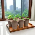 (3Pcs) Silicone Nursery Pots, 6 Grids Folding Seedling Starter Trays with Draina