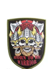 Chevron PVC Shield Patch Skull Born To Be Warrior