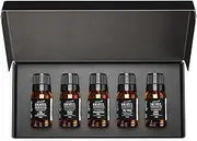 AirScent Hotel Fragrance Oil Gift Set - Buyers’ Best Picks - 10 mL, 0.34 fl oz Hotel Diffuser Oil Gift Set - Inspired by The Ritz Carlton, Westin, Baccarat NYC, My Way and Capri Brezza Scents