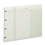 Wilson Jones Ledger Paper, Balance Ledger, 9-1/4" x 11-7/8", Green, 100 Sheet...