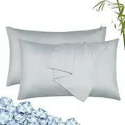 LINENOVA 100% Bamboo Pillowcase Standard Size Set of 2 - Breathable Cooling for Hot Sleepers and Night Sweats- Silky Soft Pillowcases with Envelope Closure - (Silver 48x74cm)