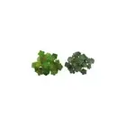 Decoration Home Garden DIY Succulents Artificial Plant Fake Flower Land Lotus