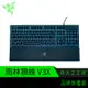 RaZER 雷蛇 雨林狼蛛 ORNATA V3 X 矮軸 人體工學 有線 電競鍵盤