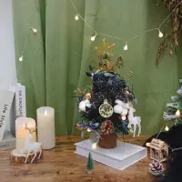 在飛比找momo購物網優惠-【KIRA與花花藝】PE法式質感聖誕樹/小-星空黑/桌上聖誕