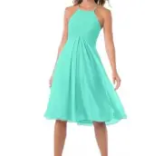 Azazie Adriana Bridesmaid Dress Prom Formal A-line Pleated Chiffon Size A16 NWT