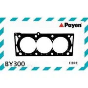 Payen Head Gasket - BY300