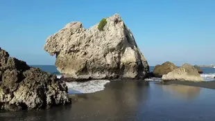 高雄半日遊|柴山阿朗壹古道 & 西海岸秘境