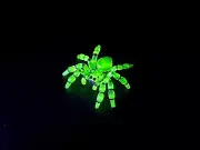 Custom Spider Uranium Vaseline Spider Limited Jumping Spider In Stock