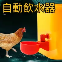 在飛比找蝦皮購物優惠-【琳琳批發】水碗鳥飲水器 餵鴿子  單水杯碗口設計 養殖場 