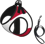 Georgia State Flag print Dog Harness and Leash Set, Reflective Adjustable Puppy Vest for Small Medium Large Dogs, Cats