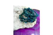 Crystal Wonderland 5x Apatite Crystal Chip Bracelet Set Natural Tumbled Gemstone