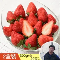 在飛比找台灣好農優惠-潭子有機草莓(20顆/盒) 買一送一