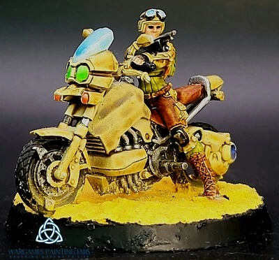 Painted Infinity Ariadna Mavericks 9th Motorized Recon Battalion