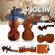 ~Talâ Vítula Fiddle Company~ 4-4 Full Size Fiddle Violin