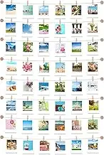 Hanging Instant Photo Display Decorative Wall Hanging String with Clips, Stick and Hang Photo Wall Decor, Wall Hanging Pictures Display for Home, Dormitory and Cafe Decoration (Available to 8 Rows)