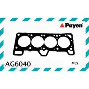 Payen Head Gasket - AG6040
