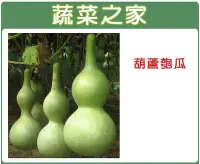 在飛比找Yahoo!奇摩拍賣優惠-【蔬菜之家】G32.葫蘆匏瓜種子5顆(觀賞用，煮食亦可.蔬菜