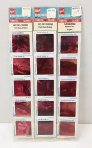 Vintage Pana-Vue 35mm Travel Slides x15 Skyline Caverns Shenandoah Virginia