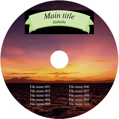 100 Custom Full Color Printed CD/DVD Vinyl Labels Stickers