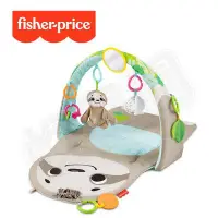 在飛比找Yahoo!奇摩拍賣優惠-Fisher-Price 費雪 可愛小樹懶感官健身器【悅兒園