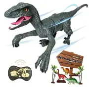 Remote Control Dinosaur Toys for Boys Kids Girls 3 4 5 6 7 8 Years Old Blue